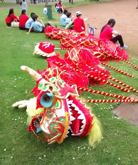 Sleeping dragon copy